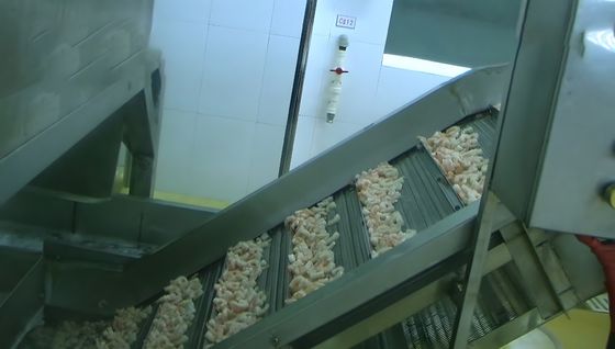 Shrimp Cooling High Pressure Cleaning Lifting Machine Shrimp Cooling Machine Cooked Shrimp Quick Cooler