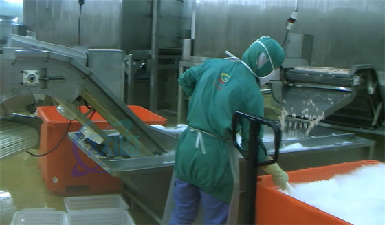 Shrimp Steam Blanching Water Circulation Cooling Machine Heated Shrimp Water Cooling Machine