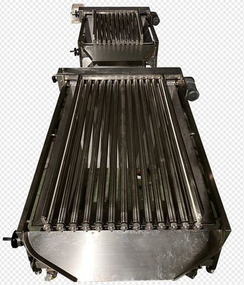 Large Capacity 5-10T/H Pelagic Fish Grader For Automatic Fish Grading Line