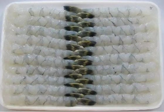 100 Pcs Tray Automatic NOBASHI Machine And Tempura Shrimp Stretching Machine