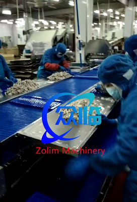 New Design Shrimp Stretching Line, Tempura Processing Line, NOBASHI Processing