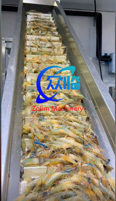 Stainless Steel 304 Automatic Shrimp Raw Material Weighing Machine High Efficiency