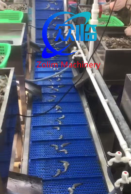 High Speed Shrimp Deveiner, Shrimp Deveining Machine And Prawn Machine