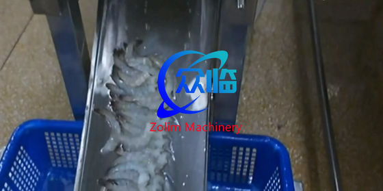 50-70pcs/min Shrimp Belly Cutter, Shrimp Belly Cutting Machine For Nobashi