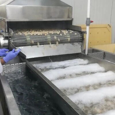 Harga yang bagus Mesin pendingin makanan laut tahan lama 380V Mesin pengolahan udang Mesin pengolahan ikan Mesin pendingin udang on line
