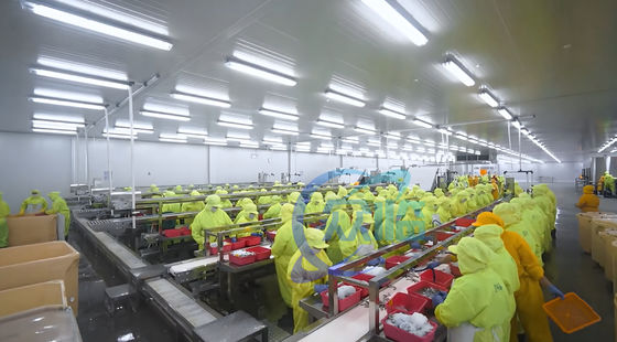 3KW Stable Shrimp Processing Machine 10000x1150x1550mm Practical