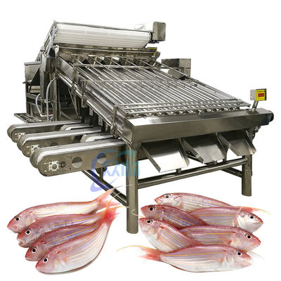 Harga yang bagus Industri SUS304 Mesin Pengelompokkan Ikan, Multiscene Seafood Sorting Machine on line