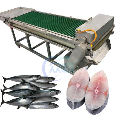 Harga yang bagus 1500W SUS304 Peralatan memotong ikan, Anti korosi mesin pemotong tuna on line