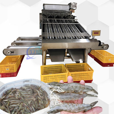 Harga yang bagus 3P Multiscene Shrimp Grading Machine Otomatis Multi fungsi on line