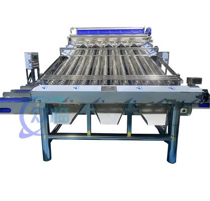Harga yang bagus 4900W SUS304 Shrimp Grading Machine, Mesin Pembuatan Udang yang tahan lama on line