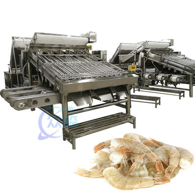 Harga yang bagus Mesin Pengelompokkan Udang Industri Anti korosi Multipurpose on line