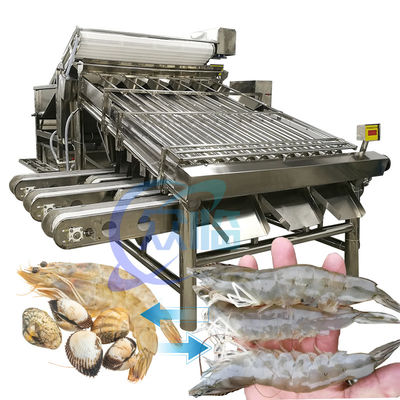 Harga yang bagus Mesin Pengelompokkan Udang Baja Rostless Praktis 6000x4000x2200mm on line