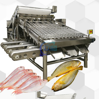 Harga yang bagus Mesin Pengelompokkan Ikan Otomatis 4900W Multipurpose Anti Erode on line