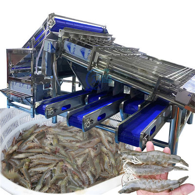 Harga yang bagus Mesin Pengurut Udang Industri Multiscene Waterproof Otomatis on line