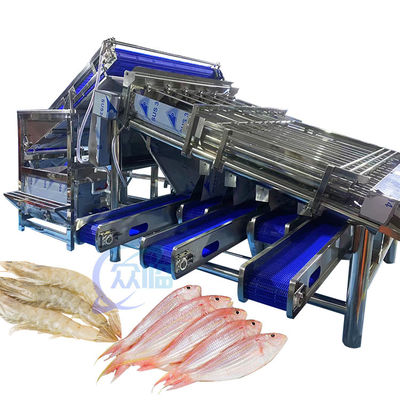 Harga yang bagus Mesin Pengurut Udang Otomatis 4,9KW Stabil Untuk Pengurut Vannamei on line