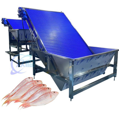 Harga yang bagus Anti Korosi Udang Sorting Mesin Multiscene Praktis 4.9KW on line