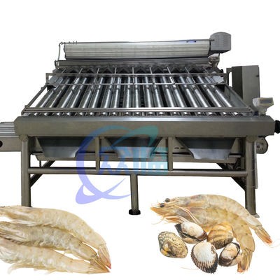 Harga yang bagus 380V 50Hz Shrimp Grading Machine Multifungsi Untuk Ukuran Udang on line