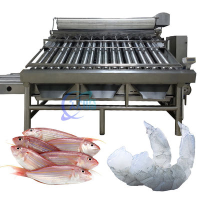 Harga yang bagus Stabil Mesin Pengelompokkan Ikan Kecil Multifungsi 6000x5200x2200mm on line
