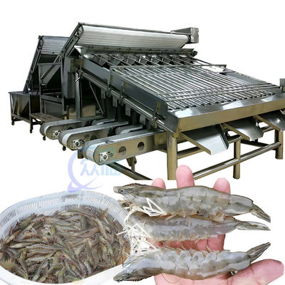 Harga yang bagus 1500KG Mesin Grader Udang Ikan Multipurpose Untuk Industri on line