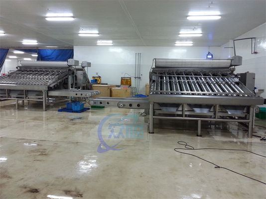 Anti Erosion Shrimp Grading Machine Oilproof Stable 1500KG Weight