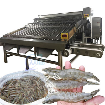 Harga yang bagus SUS304 Mesin Pembuatan Udang Praktis, Grader Udang Anti Korosi on line