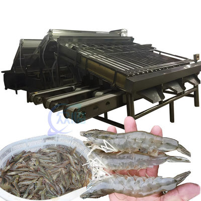 Harga yang bagus Mesin pemeringkat udang multifungsi Baja tahan karat on line