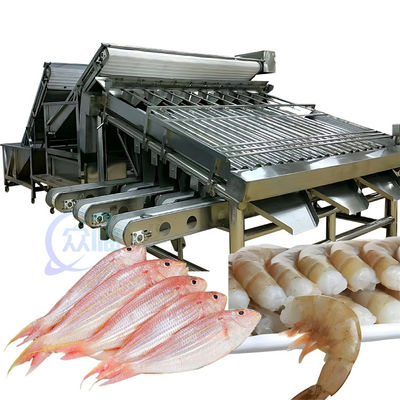 Harga yang bagus ISO 1500KG Mesin Pengurut Makanan Laut, Multifunctional Fish Size Sorter on line
