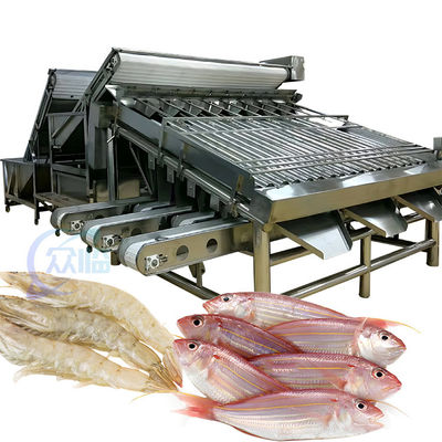 Harga yang bagus 4.9KW Mesin Pengurut Ikan Praktis, Peralatan Pengurut Ikan Otomatis on line