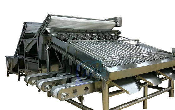 Harga yang bagus Mesin Pengelompokkan Udang Roller Multipurpose Material Baja Rustless on line
