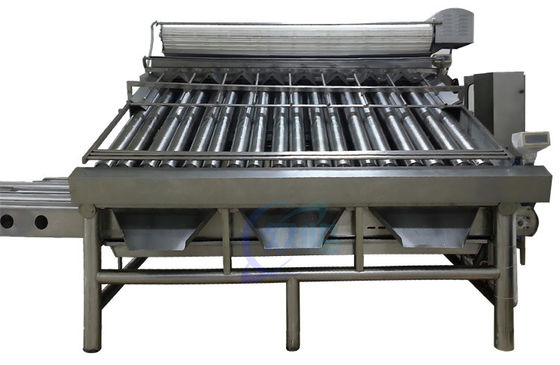 Harga yang bagus Mesin Pengurut Ikan Roller Praktis, Multi-Fungsi Shrimp Sorter on line