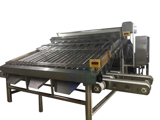 Harga yang bagus Mesin pemeringkat udang tahan lama 4.9KW Otomatis Untuk ukuran udang on line