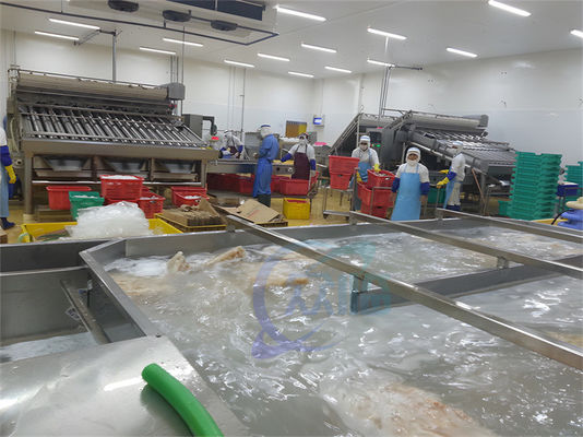 Harga yang bagus ISO Industri Otomatis Pengolahan Ikan, Multifungsi Pabrik Pengolahan Seafood on line