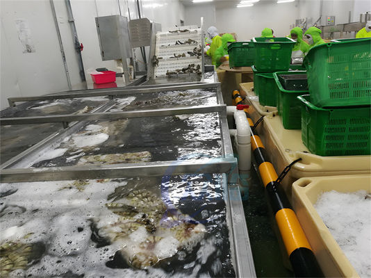 Harga yang bagus SUS304 Mesin pengolahan ikan yang stabil tahan air untuk membersihkan udang on line