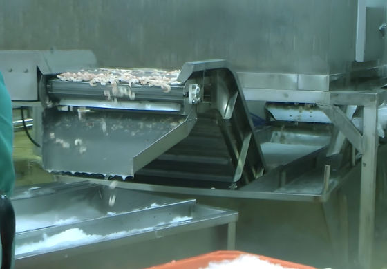 ISO 2.23KW Commercial Fish Processing Machine , Anti Corrosion Shrimp Cooked Machine
