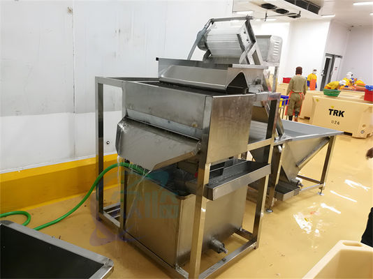 400-500KG/H Shrimp Cleaning Machine Practical High Efficiency