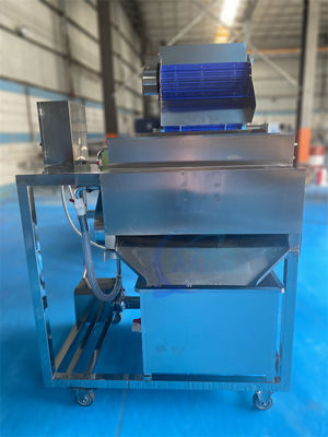 Harga yang bagus 1500W Stabil Peralatan Pabrik Pengolahan Ikan, Industri Shrimp Whisker Separator on line