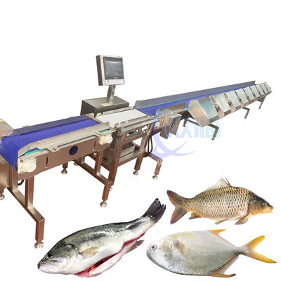 Harga yang bagus Mesin pemotong berat ikan otomatis penuh Pengangkut makanan Skala penimbang on line