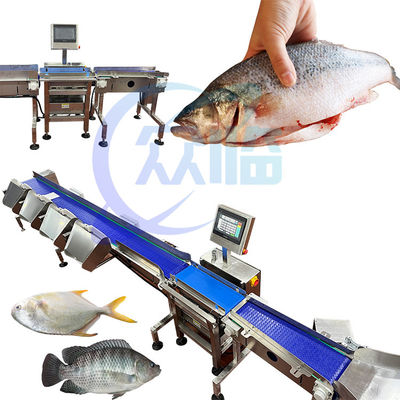 Harga yang bagus Mesin Pengukuran Ikan Komersial Berukuran Satu 1g-3g Pangasius Grading on line