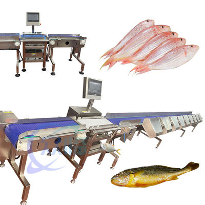 Harga yang bagus Mesin pembagian ikan hidup dengan presisi tinggi Peralatan pembagian ikan hidup Tilapia Pengukuran on line