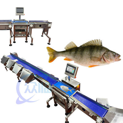 Harga yang bagus 121pcs/min Mesin Pengelompok Berat Ikan Mesin Menimbang dan Menganalisis Ikan Untuk Lingkungan Akuatik on line