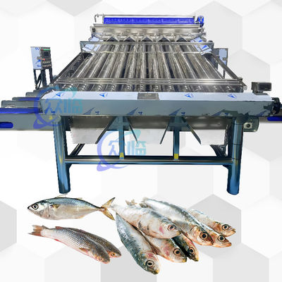 Mesin Pengecoran Ikan Roller Waterproof Mesin Pengecoran Makrel Kapasitas Besar