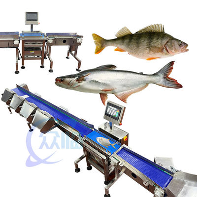 Harga yang bagus 62m/menit Spesialisasi ikan berat pengelas hidup ikan berat mesin pemrosesan komputer kontrol on line