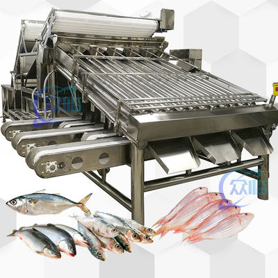 Output besar Seluruh mesin pemotong ikan dengan 18 rol Seluruh mesin pemotong ikan dan ukuran ikan
