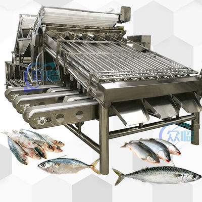 Harga yang bagus Mesin Pengelompokkan Ikan Untuk Ikan Kecil Dan Peralatan Pengelompokkan Ikan Sistem Pengelompokkan on line