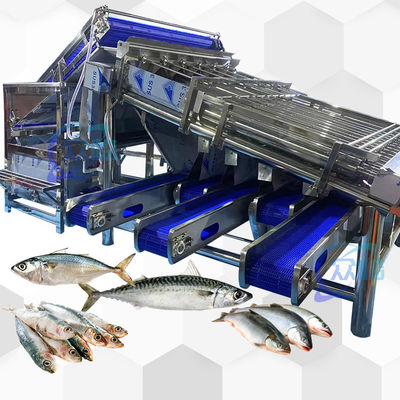 Harga yang bagus Mesin Pengelompokkan Ikan Kapasitas Tinggi Mesin Pengelompokkan Ikan Roller 4,9KW 2 -8T/H on line