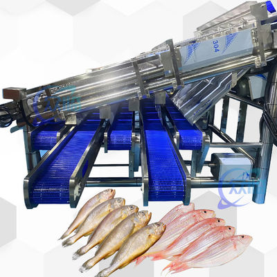 Harga yang bagus 18pcs Roller SS304 Mesin Pengurut Ikan Kecil on line