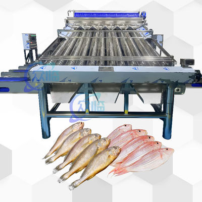 Harga yang bagus Mesin Klasifikasi Ikan Otomatis Dengan 12 Roller Pengklasifikasi Ikan Otomatis Untuk 4-5 ukuran on line