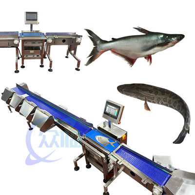 Harga yang bagus Anti korosi ikan berat pemeringkat Otomatis ikan berat pemeringkat on line