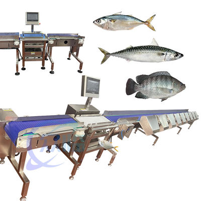 China Specialty Crap Fish Grader Crap Fish Sorter Crap Fish Sizter Crap Fish Mengklasifikasikan