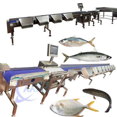 Harga Bagus Tilapia Grader Tilapia Sorter Tilapia Sizter Tilapia Classify Dari China